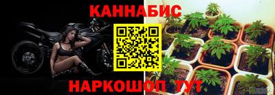 гашик Гусев