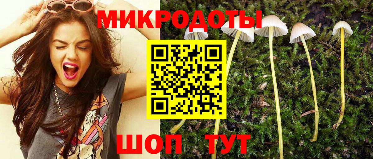 Галлюциногенные грибы Psilocybe  Вход с VPN  Мыски 